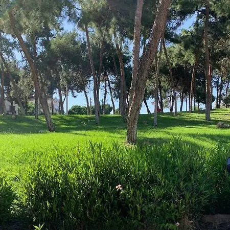 Apartament Altin Kum Didim